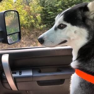 Meet your Posher, Robert